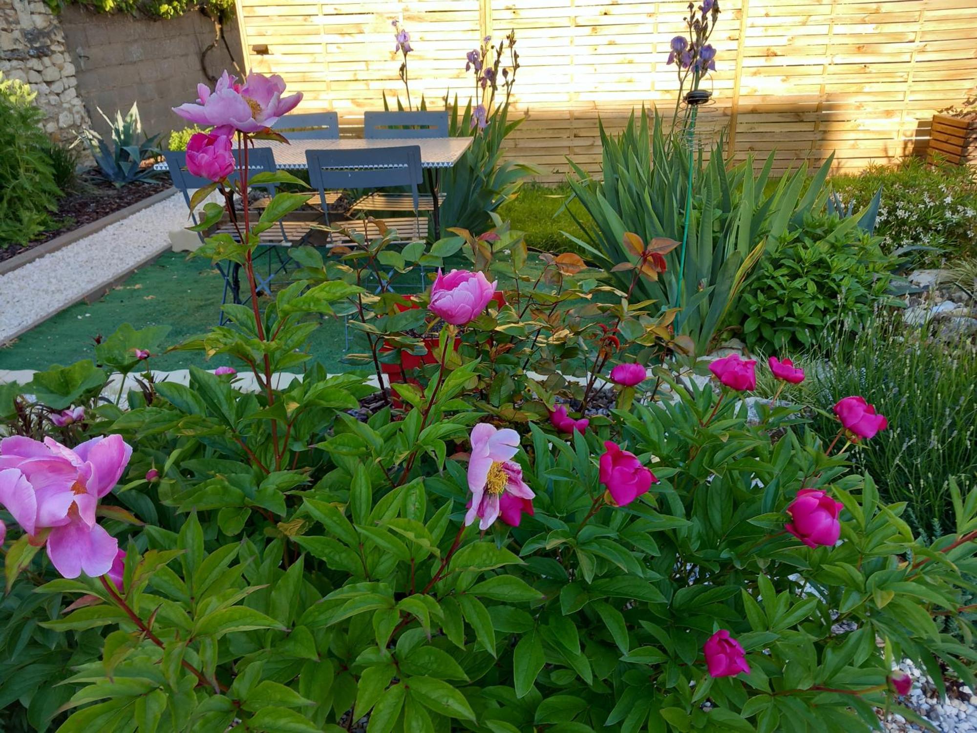 Chez Bea Bed and Breakfast Châtellerault Buitenkant foto